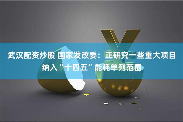 武汉配资炒股 国家发改委：正研究一些重大项目纳入“十四五”能耗单列范围