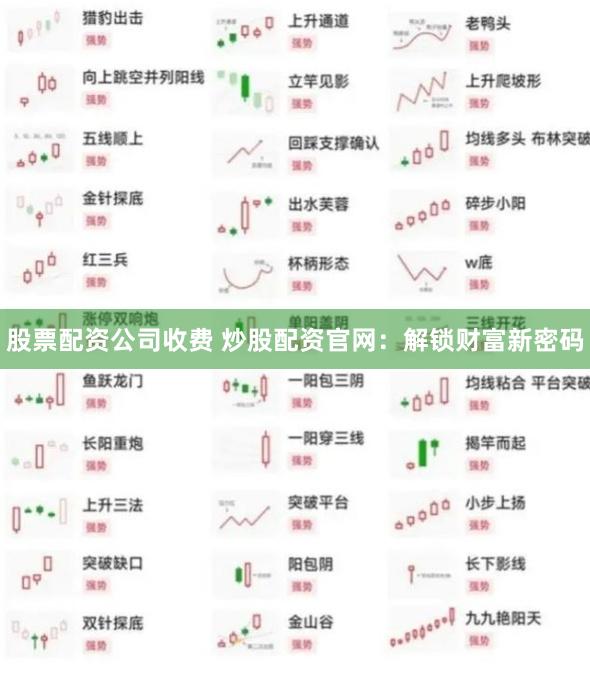 股票配资公司收费 炒股配资官网：解锁财富新密码