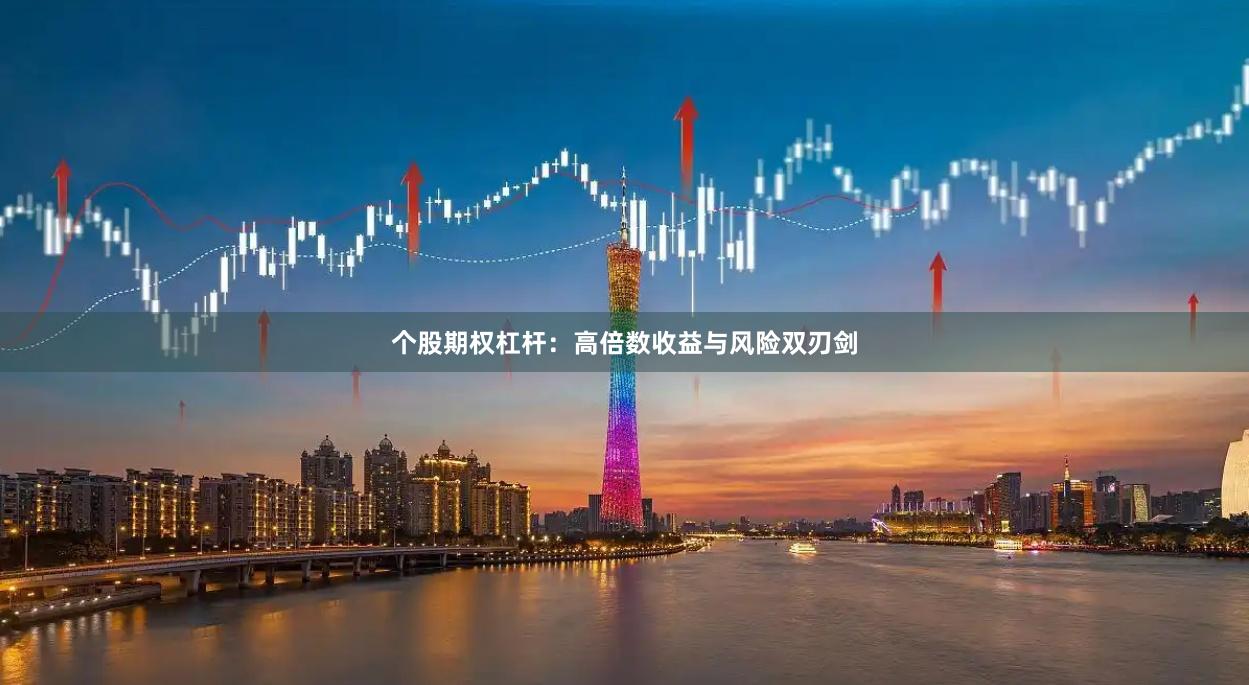 个股期权杠杆：高倍数收益与风险双刃剑