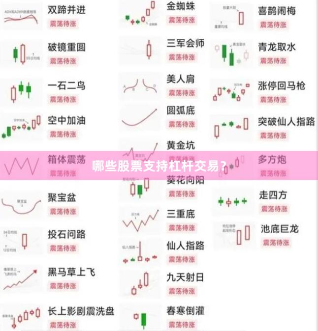 哪些股票支持杠杆交易?