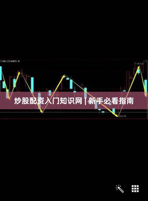 炒股配资入门知识网 | 新手必看指南