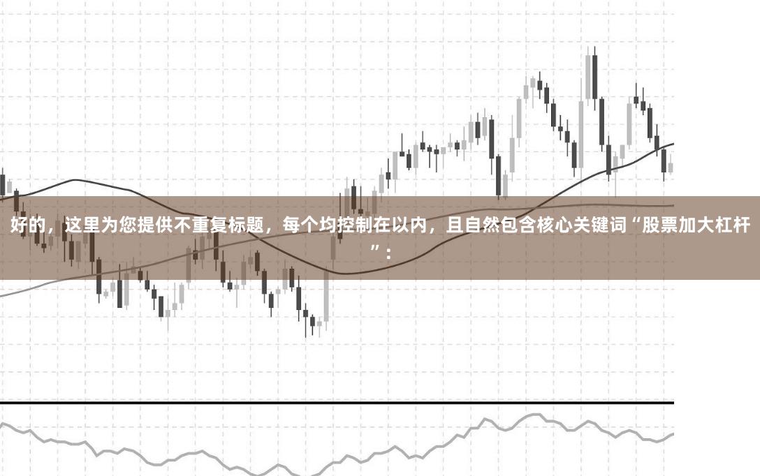 好的，这里为您提供不重复标题，每个均控制在以内，且自然包含核心关键词“股票加大杠杆”：